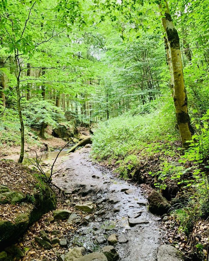 Tailor'S Trail Gite D'Adventure Beaufort Mullerthal Екстер'єр фото